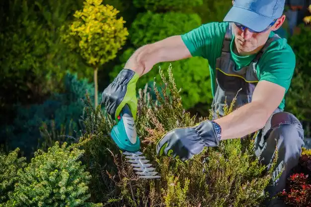 landscaping services Steubenville